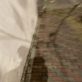林亦 - 最想说的话