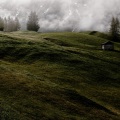 Essential Zen Tracks