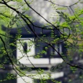 Karl - 山居秋暝