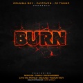 Burn (Alternate Version)(Explicit)