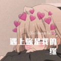 DJ胖虎 - Liz On Top Of The World (Remix)