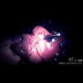 艾莉Anicca - 海星人鱼