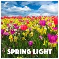 Joakim Karud - Spring Light
