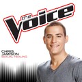 Chris Jamison - Sexual Healing
