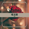 呈安 - 珠玉调——广播剧《碎玉投珠》插曲