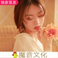 王英涛 - 安静的夜