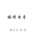 DJ小星星 - 越听越有味