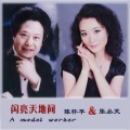 陈怀平 - 闪亮天地间