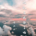 帝六六 - 风飘过云海了吗