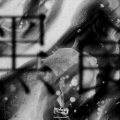 哀四杏、FALSE CHANNEL - 黒食
