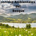 Sonidos del Bosque - Selva Tropica