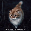 Cat Music、Music For Cats、Cats Music Zone - Interstellar