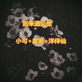 后来遇见他