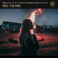 Eugenio Ferrara、Maurizio Lessi、Practical Mind - Feel The Fire (ExtendedMix)
