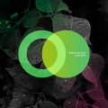 Sebastian Haas - Crawler