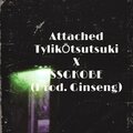 TylikŌtsutsuki、ssgkobe - Attached