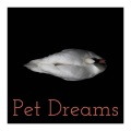 Animal and Bird Songs、Pets Love Music、Calm Pets Music Academy - Old Earth