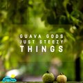 Just Steezy Things、Lifted LoFi - Guava Gods
