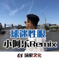 小阿乐 - 硬核带头 (DJ版)