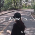 DJ小星星 - 送给节奏控的老铁们