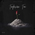 Atena、Yusowf、yasin - Taghsire Toe