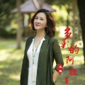 龙梅 - 多彩的阿拉善