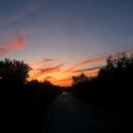 Anar - its gone