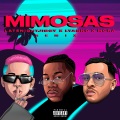 Mimosas (Remix|Explicit)