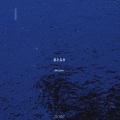 Lil BG刘昱辰 - 都市森林