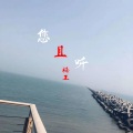 楠王 - 您且听