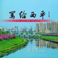 陈曦 - 写给西平