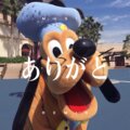褚枫 - 爱的锦鲤游向你