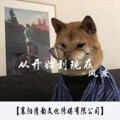 风度 - 处处吻