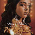 Sagittarius - Pa La Calle (Remix)