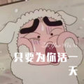 元宋 - 舟楫此夜 (Remix)