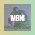东郭觅夏 - 快闪