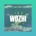仰涵涵 - 我只在乎你