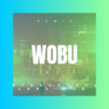 龙卿 - 时光取名叫无心 (DJ版)