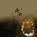 软刺、歌者飘雪 - 保佑我的南无