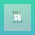 洪天纵 - Subtle The Sum (Remix)