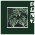 肖宇帆 - 两极反转 (Remix)