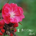 汤川 - 家乡