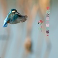 汤川 - 平凡之路 (精华版)
