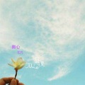左凡 - 撕心