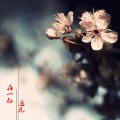左凡 - 在一起 (律动版)