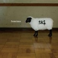 S.R.S - Sometimes -B.C.-