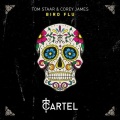 Tom Staar、Corey James - Bird Flu