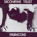 Saccharine Trust - Mad At The Co.