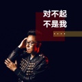 孙伯纶 - 对不起不是我
