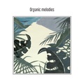 PUZZLEMAN、Airy - SEEDS
